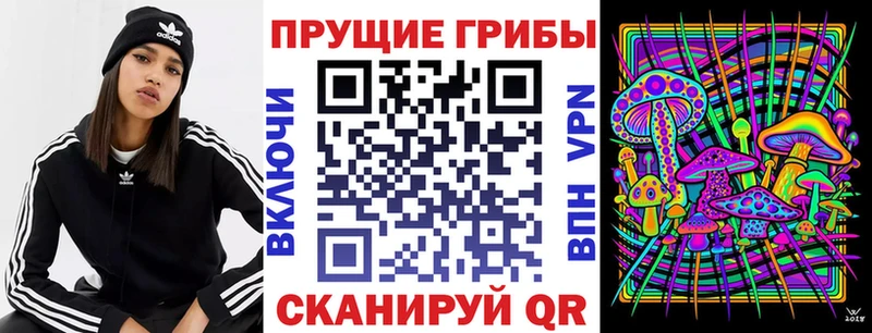 Галлюциногенные грибы ЛСД Гдов