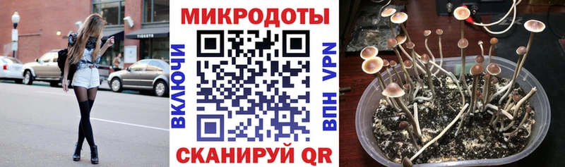 Купить где  Гдов  Галлюциногенные грибы GOLDEN TEACHER 